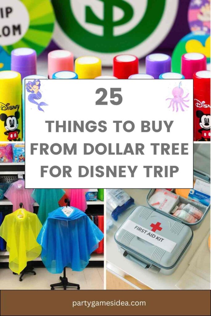 Things To Buy From Dollar Tree For Disney Trip