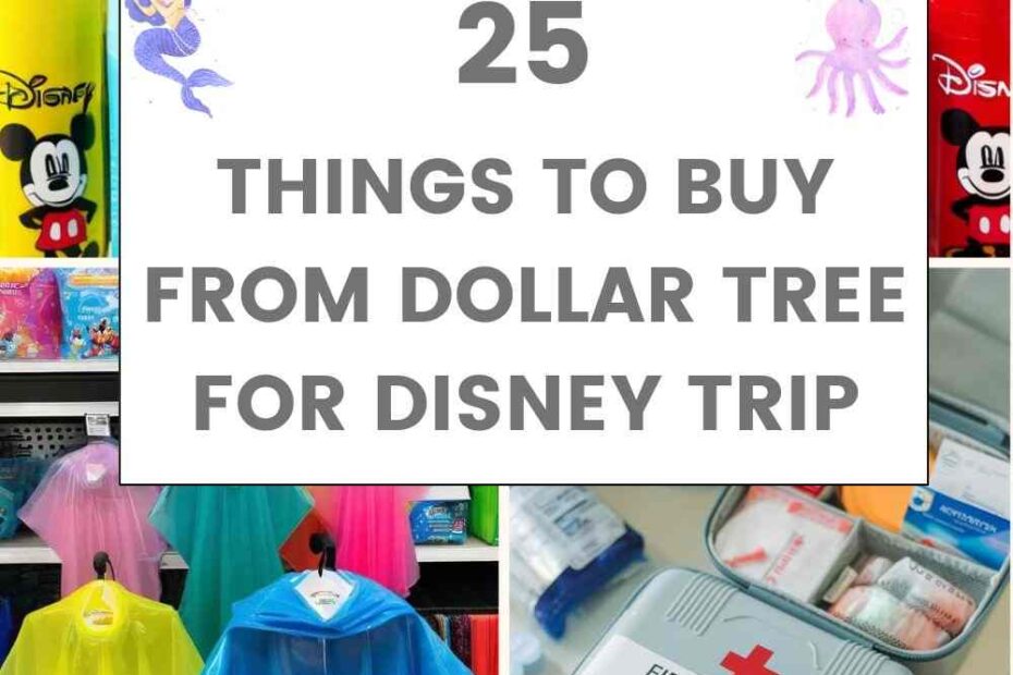 Things To Buy From Dollar Tree For Disney Trip