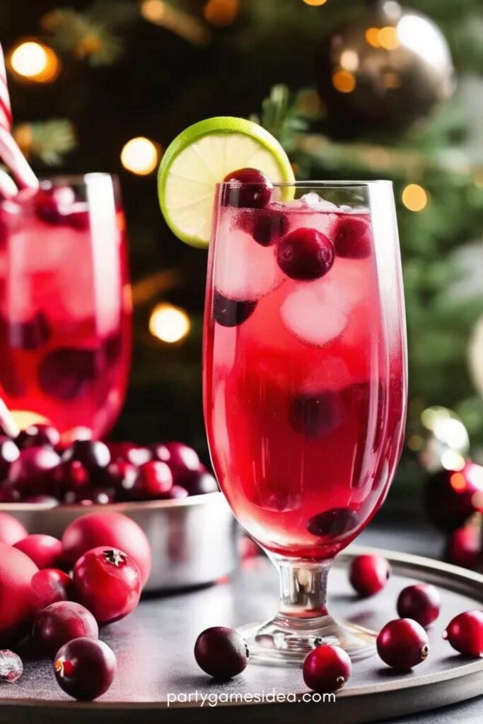 Sparkling Cranberry Mocktail